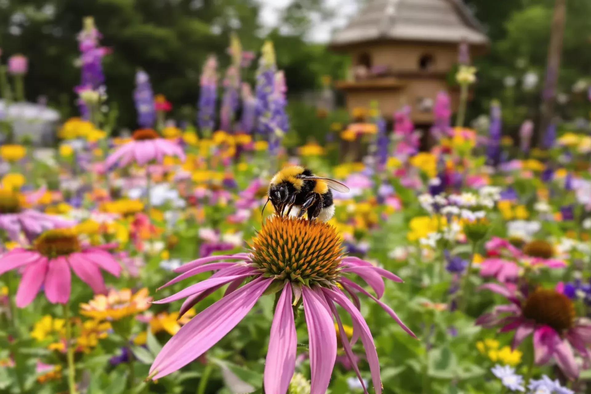 Une abeille en train de butiner