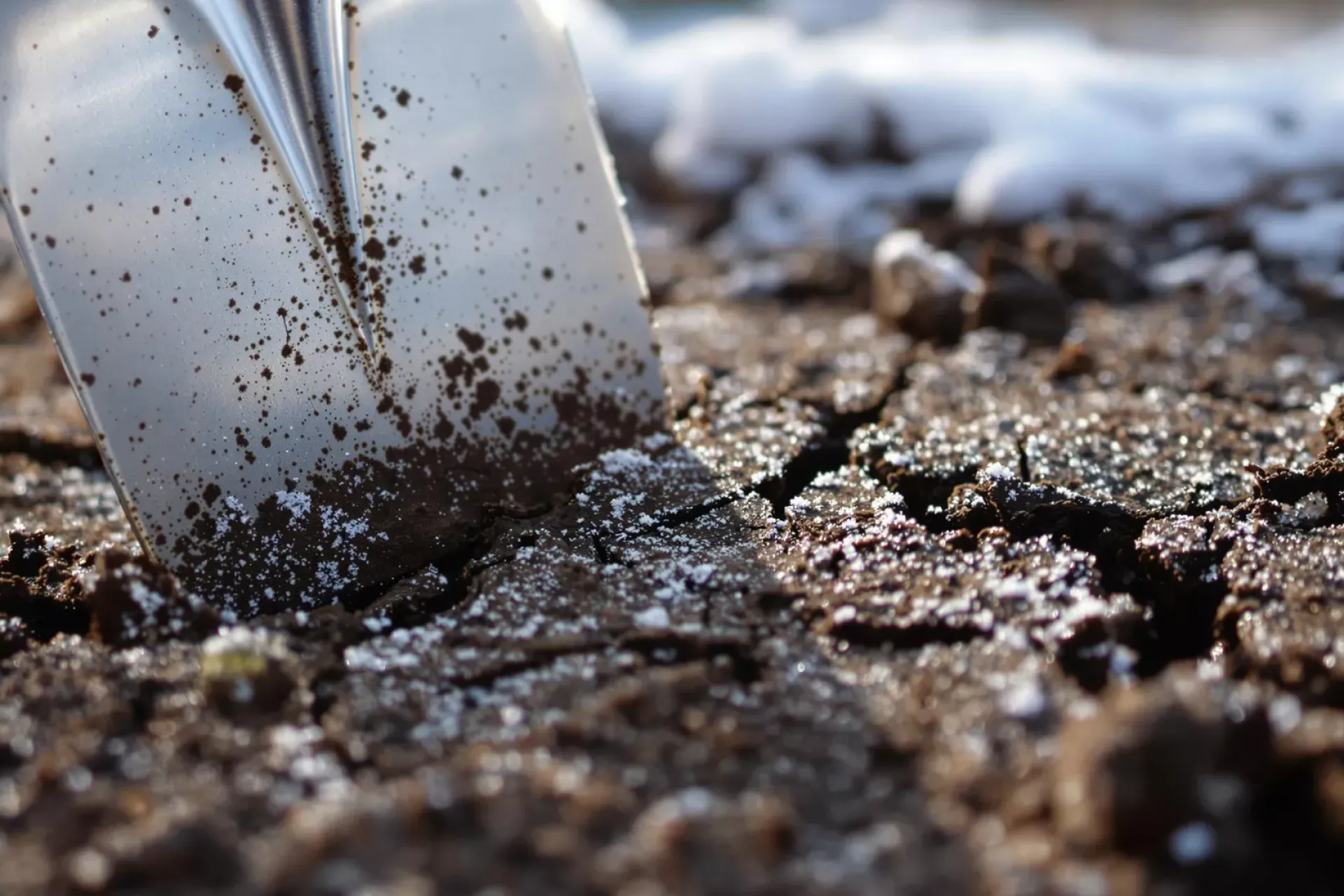 Une terre compacte qui lézarde avec le froid