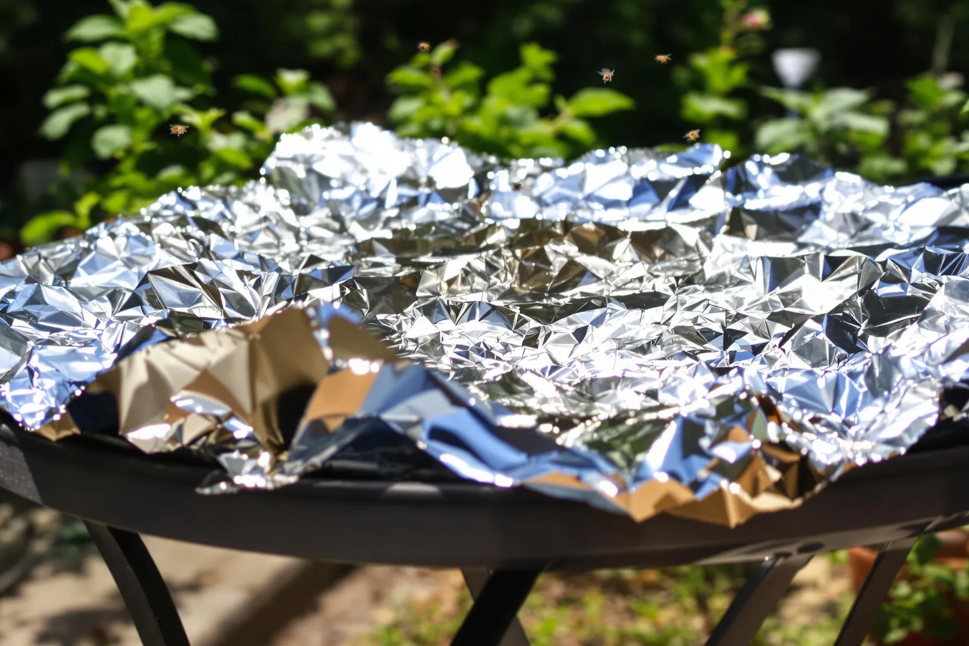 Un morceau de papier aluminium reflète la lumière entouré de plantes en pot et de quelques mouches.