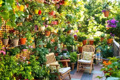 Un balcon étroit aménagé avec des plantes en pots et un coin détente ensoleillé.