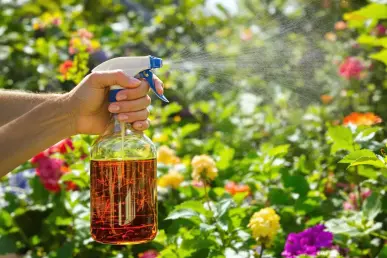 Un jardinier utilise un spray de cola dans un jardin ensoleillé pour repousser les nuisibles.