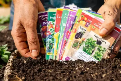 Lot de pochons de graines pour le potager en hiver