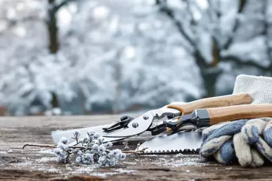 Outils et gants de jardinage posés sur une planche à l'extérieur