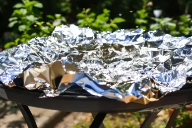 Un morceau de papier aluminium reflète la lumière entouré de plantes en pot et de quelques mouches.