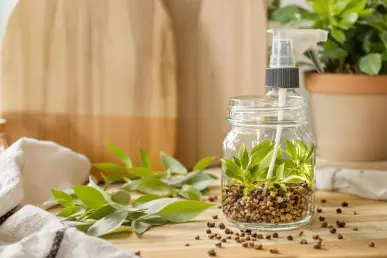 Un bocal en verre avec un mélange répulsif naturel entouré de feuilles de laurier et de clous de girofle sur une planche en bois.