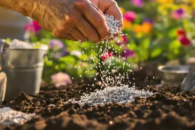 Gros plan sur de la terre avec un mélange de cendres