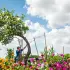 Comment redresser un arbre penché dans votre jardin : guide pratique et écologique