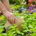 Comment éloigner naturellement les limaces de votre jardin avec du carton