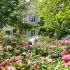 Travaux le dimanche : ce que dit la loi pour votre maison et jardin