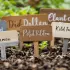 Les étiquettes de jardin résistantes pour identifier vos cultures