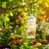3 pièges à frelons asiatiques naturels et efficaces à fabriquer soi-même