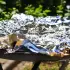 Comment éliminer les mouches avec du papier aluminium : méthode naturelle et efficace